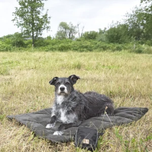 PALOPA Dog Mat Alma 2025 anthracite M-L (7601.001)