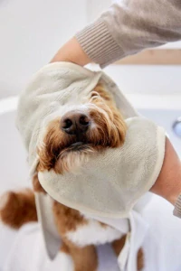 PALOPA Dog Towel Kosy beige M-L (7603K.01)