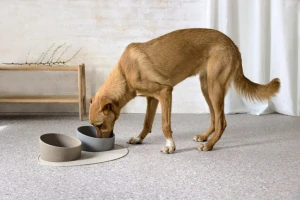 PALOPA Bowl Cali grey (7605B.02)