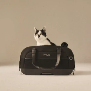 Tavo Dupree™ II Double Handle onyx (9002.002)